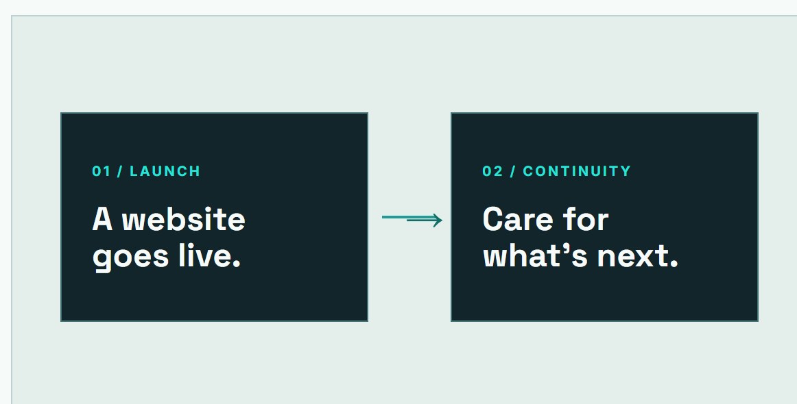 Conceptual illustration of a website launch leading to ongoing care; service terms are not specified
